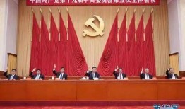成武五中爆料事件视频最新,真相揭开，校园风波再起