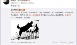 卓伟爆料最新电视剧,神秘新剧来袭，剧情悬疑反转不断