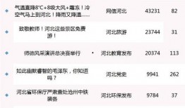 衡水爆料最新消息今天,揭秘今日重大事件真相！
