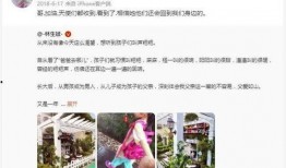 烟妹最新爆料微博,揭秘娱乐圈最新热点事件