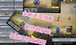 国际服体验服最新爆料,揭秘神秘新内容与重大更新