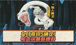2024s忍爆料最新,揭秘忍界新动向与神秘势力崛起