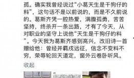 葛斯齐最新爆料2024,揭秘年度热点事件背后的真相