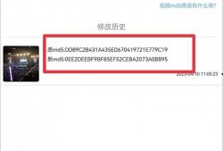 最新爆料载具大全视频下载,带你领略未来出行新潮流