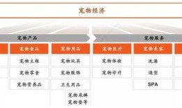 晶核2025年最新爆料,揭秘未来科技新纪元