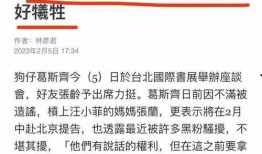 葛斯齐最新爆料2024,揭秘年度热点事件背后的真相